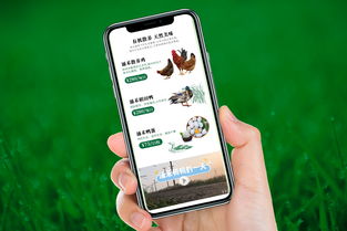 自然之涌，純凈之禾 涌禾農(nóng)場全案品牌形象塑造之路